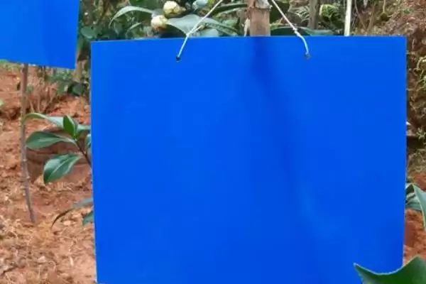 防治病虫害的适宜适期，害虫幼龄期、危险生育期、天敌敏感期适合用药插图10