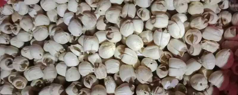 江西石城县的特产 ,江西石城县有什么驰名特产-会东网