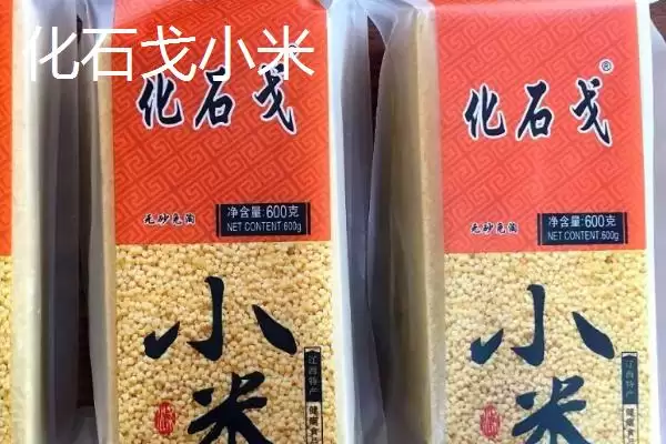 辽宁省锦州市有哪些特色水果,包括北镇葡萄、银白杏、锦州苹果等种类插图9 辽宁省锦州市有哪些特色水果,包括北镇葡萄、银白杏、锦州苹果等种类插图9