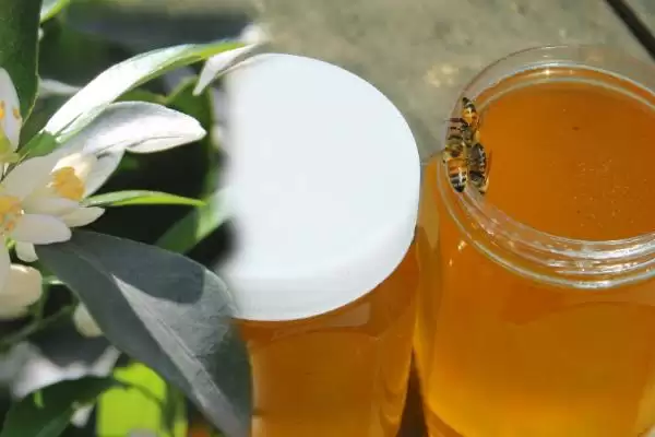 图片[5]-柑橘蜜的价格，零售价大约在30-50元一斤左右-会东网