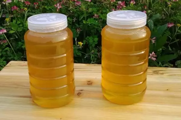 图片[4]-变质的蜂蜜是什么样，蜂蜜中会出现大量气泡并且质地会变稀-会东网