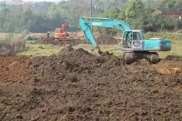 种植金丝绞瓜的方法和重点？种金丝绞瓜要做好哪些细节？插图5