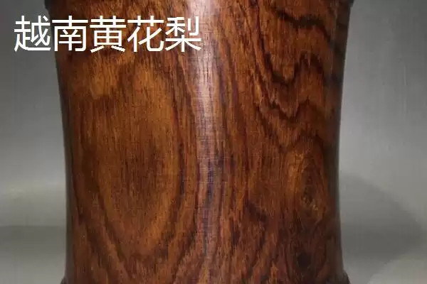 图片[5]-认识越南黄花梨的方法和重点？认识越南黄花梨要做好哪些细节？-会东网