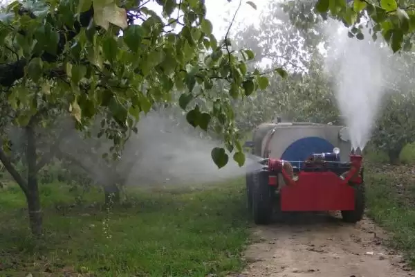 制作无公害土农药技巧的方法和重点？制作土农药要做好哪些细节达无公害？插图1