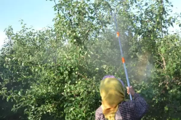 苹果树农药全年配方表，不同季节的使用不同的农药插图1