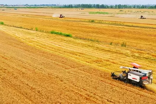图片[4]-了解一亩等于多少分地的方法和重点？了解一亩等于多少分地要做好哪些细节？-会东网