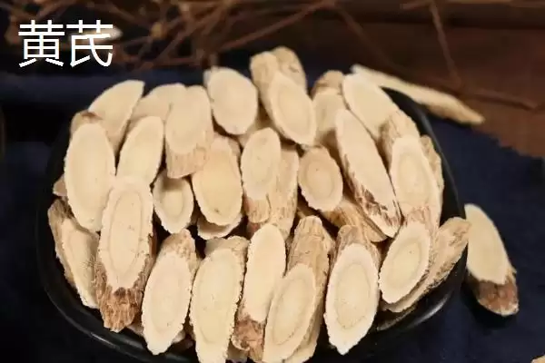 图片[2]-北芪与黄芪有什么区别，在药效上考虑不会有太大区别-会东网