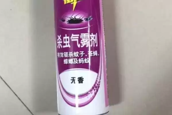 图片[3]-蚂蚁最怕什么东西 ,洗衣粉和杀虫剂对蚂蚁怎样-会东网