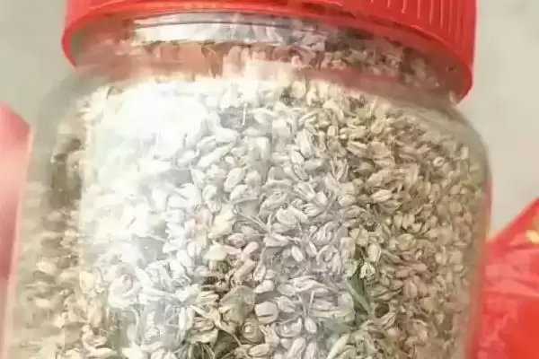图片[7]-麻麻花是哪种植物的花 ,麻麻花的学名是什么植物-会东网