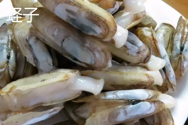 图片[4]-可食用贝类海鲜大盘点：蚬子、蛏子、北极贝等你品尝-会东网