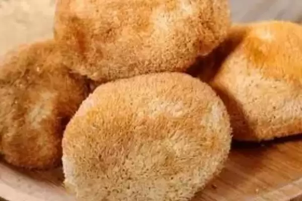 图片[4]-农村珍稀食用菌品种探秘：5种前景大好的种植选择-会东网