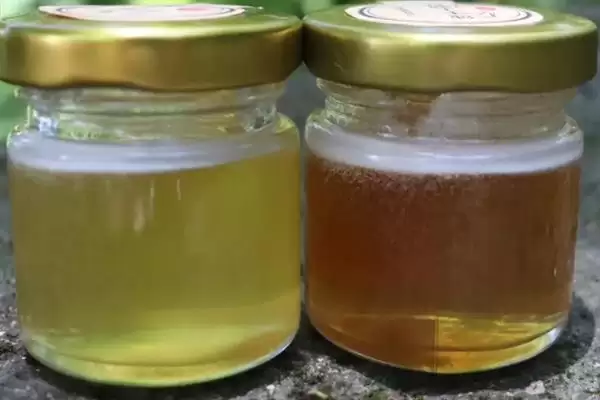 龙眼蜜和百花蜜的区别,色泽和口感上均不同插图1 龙眼蜜和百花蜜的区别,色泽和口感上均不同插图1