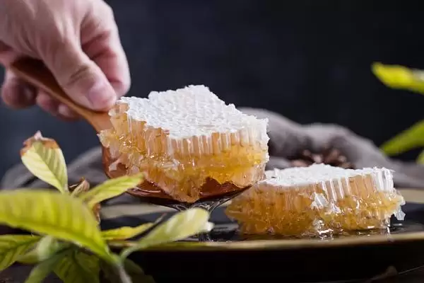 图片[5]-蜂巢蜜的食用方法，直接放在嘴中咀嚼即可-会东网