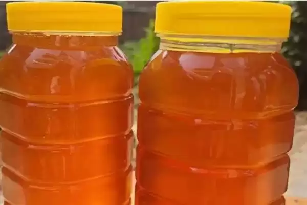 龙眼蜜和百花蜜的区别,色泽和口感上均不同插图2 龙眼蜜和百花蜜的区别,色泽和口感上均不同插图2