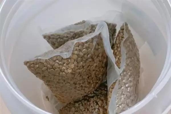 猫咪吃干粮和湿粮各有什么优缺点 ,干粮价低易胖湿粮补水期短插图4