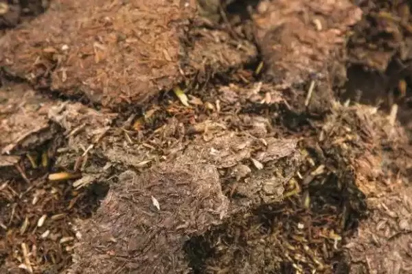 计算一头猪一天产粪尿量的方法和重点？养猪要做好哪些养殖数据统计细节？插图5