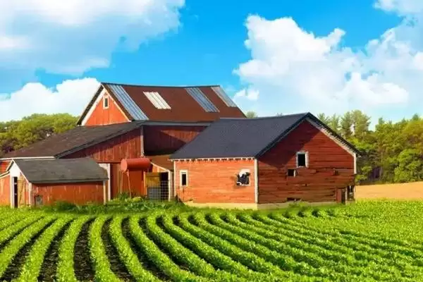 注册家庭农场条件及办理方法和重点？养猪要做好哪些农场开办细节？插图2