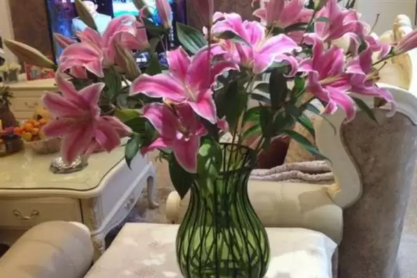 图片[8]-鲜切百合花苞太生的处理方法和要点？处理鲜切百合花苞问题需注意什么？-会东网