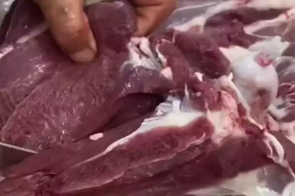 了解注胶猪肉的方法和重点?养猪与食品安全有哪些关联细节?插图9 了解注胶猪肉的方法和重点?养猪与食品安全有哪些关联细节?插图9