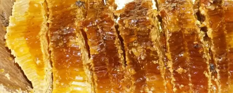 什么是油菜花蜂蜜,属易结晶蜂蜜插图 什么是油菜花蜂蜜,属易结晶蜂蜜插图