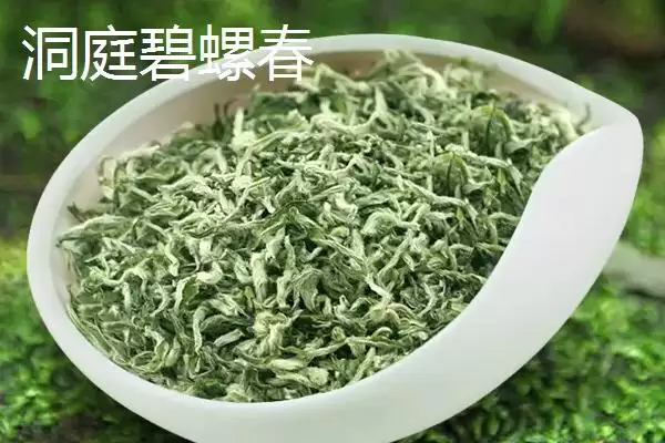 图片[11]-认识中国十种名茶的方法和重点？认识中国十种名茶要做好哪些细节？-会东网
