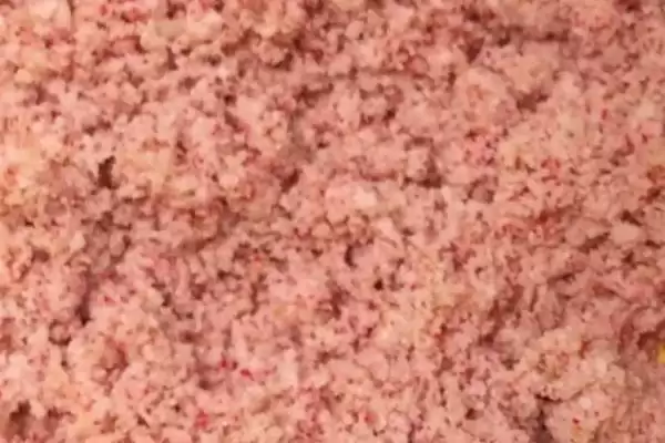 图片[3]-鲶鱼的美食清单：小型鱼类、虾类等食物的诱惑-会东网