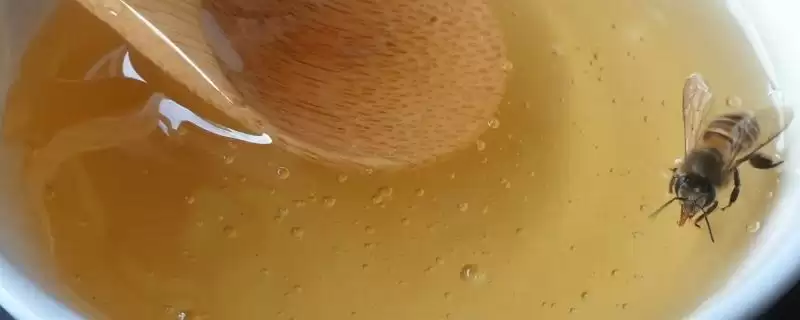 百花蜜和荆条蜜的区别,色泽和口感上略微有点不同-会东网