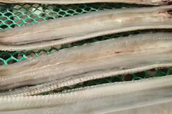 图片[2]-鳗鱼干刺太多怎么处理好 ,鳗鱼干可用什么拔鱼刺-会东网