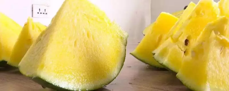 了解特小凤西瓜上市时间的方法和重点？把握特小凤西瓜上市要做好哪些细节？-会东网