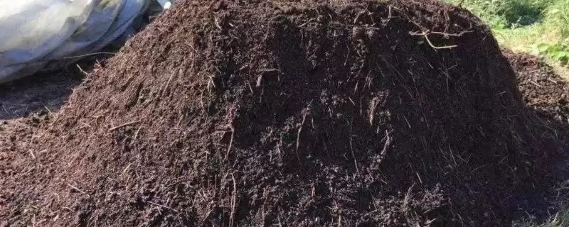 酵素堆肥的制作方法 ,制作酵素堆肥有哪些具体方法-会东网
