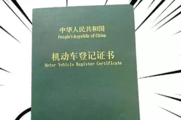 图片[9]-蔬菜卖不出去的情况下怎么办？应对蔬菜滞销要采取哪些有效的解决办法？-会东网