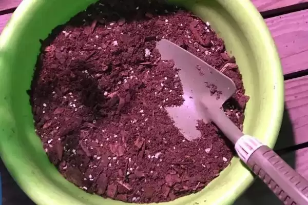 辣椒籽的直接种植问题 ,辣椒籽直接种植后如何保持湿度?插图4 辣椒籽的直接种植问题 ,辣椒籽直接种植后如何保持湿度?插图4