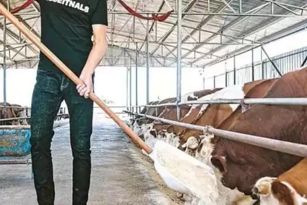 处理养殖场污水的方法和重点？养猪要做好哪些环保处理关键细节？插图3