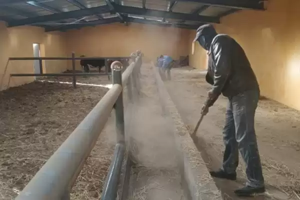 牛圈冬天保暖攻略：通风口覆盖塑料布的实用技巧插图7