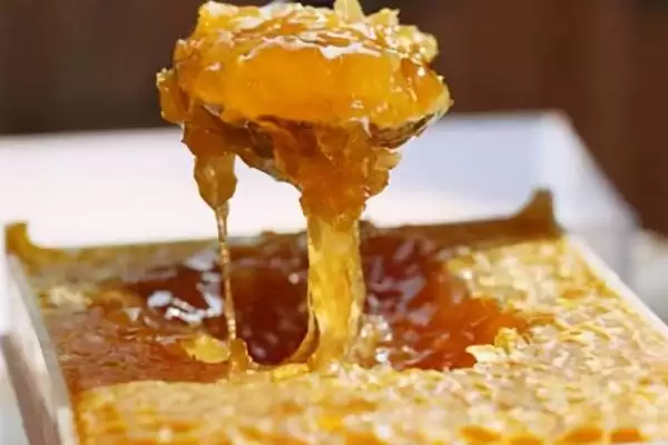 图片[3]-蜂巢蜜里面的蜂蜡能不能吃，可以食用但口感不佳-会东网