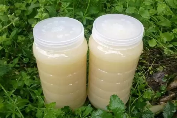 图片[5]-油菜花蜂蜜结晶像白糖是正常的吗，像白糖是正常现象-会东网