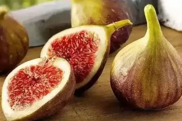 图片[6]-无花果有花吗，无花果有花-会东网