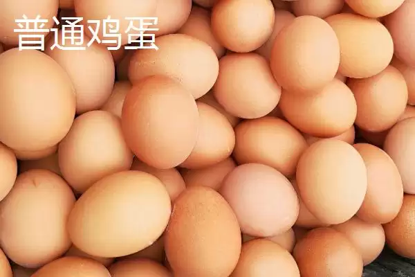 理解虫草鸡蛋定义的方法和重点？养鸡要做好哪些鸡蛋知识储备？插图3