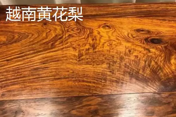 图片[3]-认识越南黄花梨的方法和重点？认识越南黄花梨要做好哪些细节？-会东网