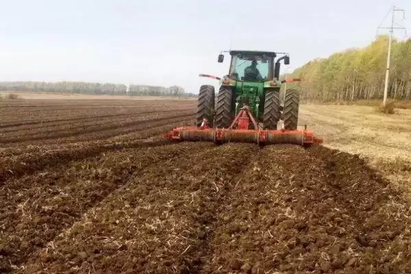 种植丝瓜的方法和重点？种丝瓜要做好哪些细节？插图1