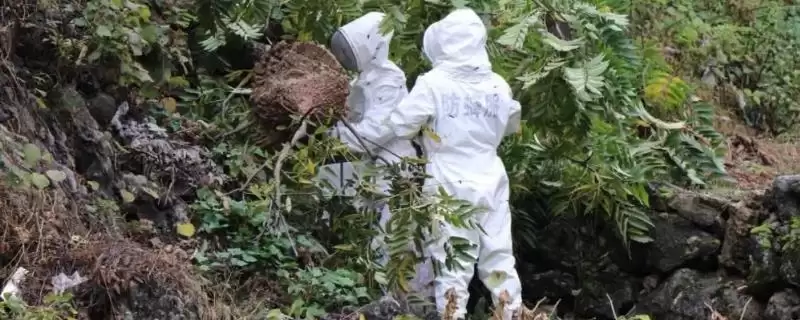 防蜂服的作用,主要是防蜂蛰-会东网