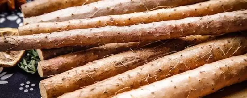 山药什么时候成熟？了解山药成熟时间要关注哪些生长周期信息？-会东网