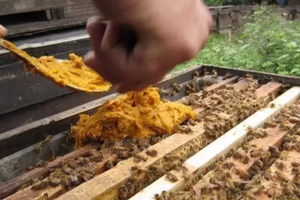 图片[5]-夏季蜂群的管理要点，核心工作是防暑降温-会东网