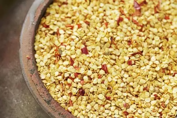 辣椒籽的直接种植问题 ,辣椒籽直接种植后如何保持湿度?插图2 辣椒籽的直接种植问题 ,辣椒籽直接种植后如何保持湿度?插图2