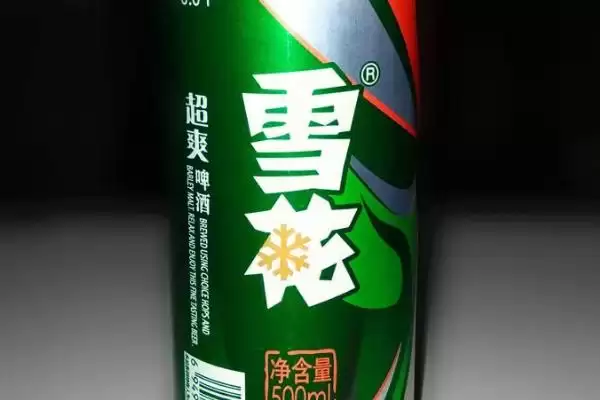 图片[2]-我国有哪些啤酒品牌？认识我国啤酒品牌要了解哪些关键的品牌特色和市场分布要点？-会东网