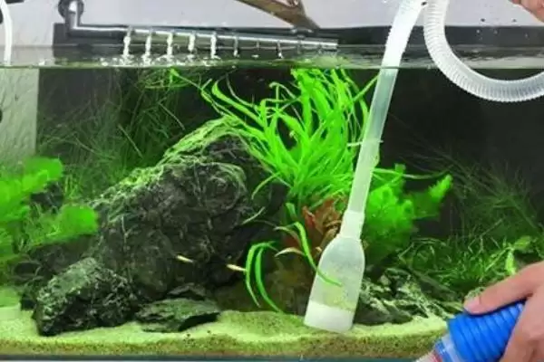 图片[2]-普通小鱼缸换水技巧：用管子抽水兑新水的正确方法-会东网