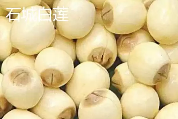 图片[2]-江西石城县的特产 ,江西石城县有什么驰名特产-会东网