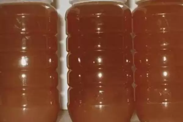 图片[2]-土蜂蜜简介，一年只能取1-2次蜜-会东网