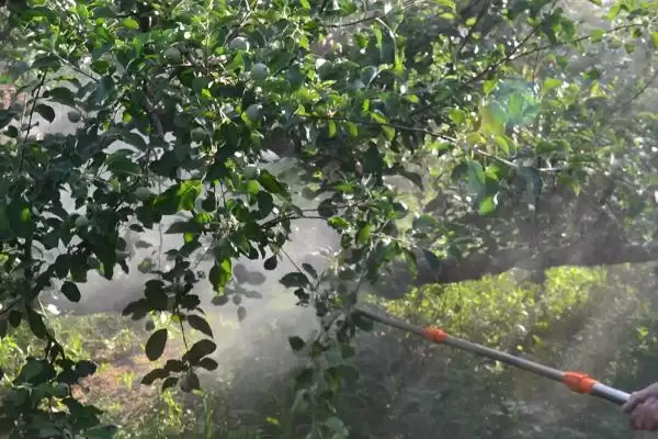 图片[4]-了解植物防冻剂作用的方法和重点？了解植物防冻剂作用要做好哪些细节？-会东网
