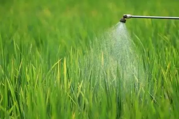 防治病虫害的适宜适期，害虫幼龄期、危险生育期、天敌敏感期适合用药插图3